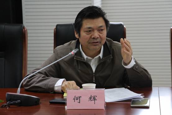 (中国物流信息中心副主任何辉)