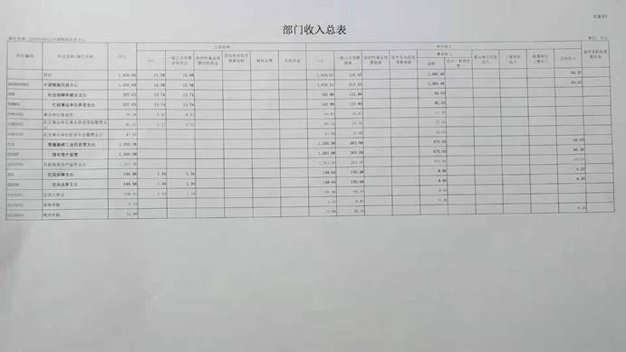 部门收入总表