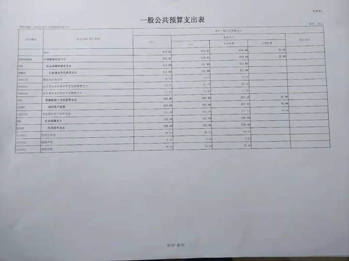 一般公共预算支出表