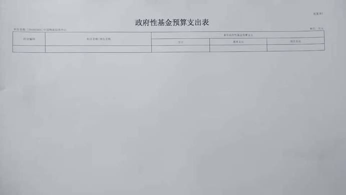 政府性基金预算支出表