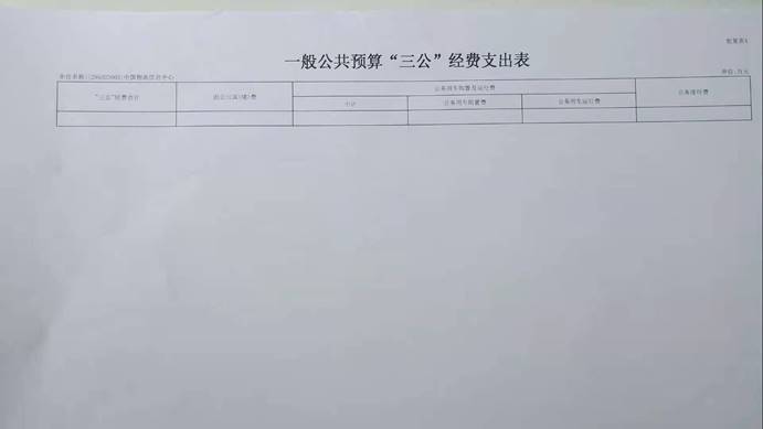 一般公共预算三公经费支出表